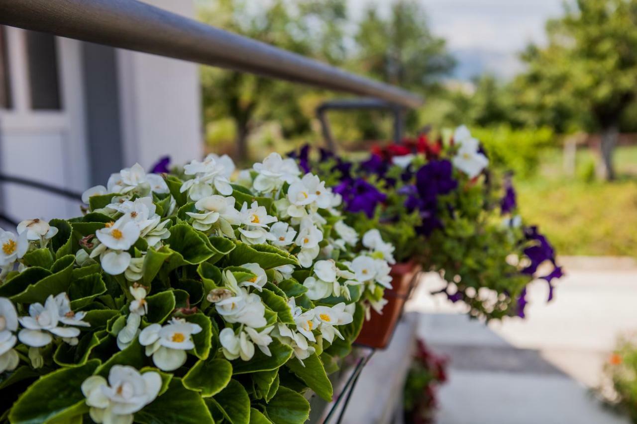 Apartments Heaven Cetinje Dış mekan fotoğraf